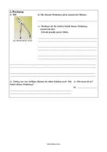 Vorschau themen/bienen/Die Werkzeuge des Imkers.pdf